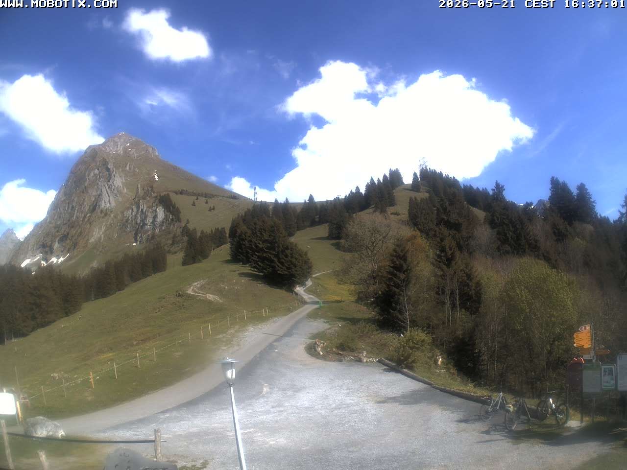 Mollis › Südosten: Fronalpstock