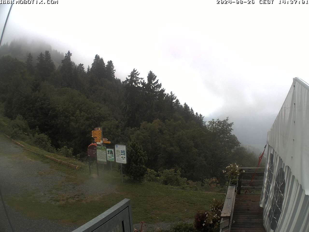 Mollis: Naturfreundehaus Fronalp, Skigebiet Schilt oberhalb - Glarnerland