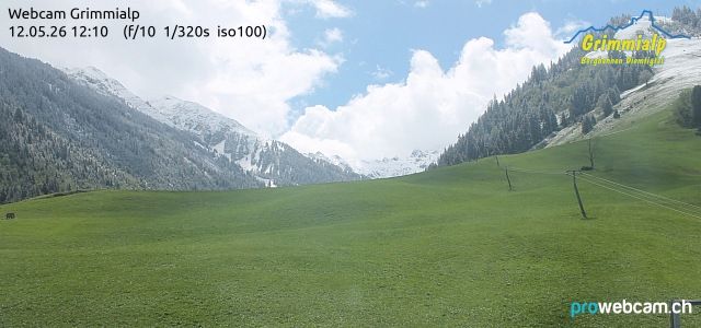 Grimmialp: Diemtigtal