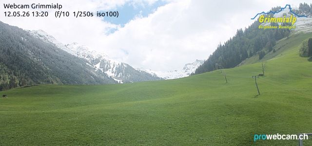 Grimmialp: Diemtigtal
