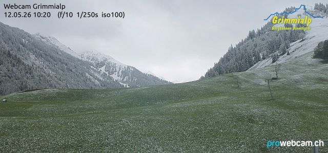 Grimmialp: Diemtigtal