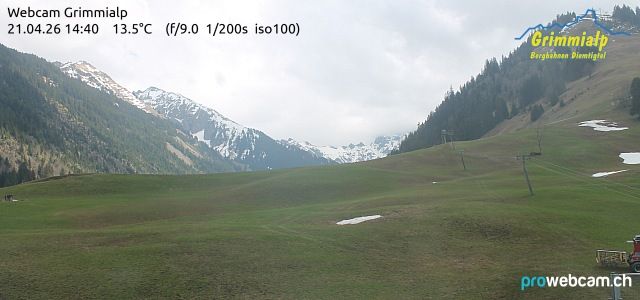 Grimmialp: Diemtigtal