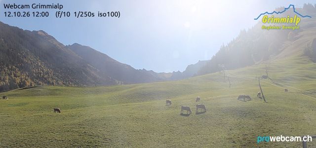 Grimmialp › Norden: Diemtigtal - Grimmialp