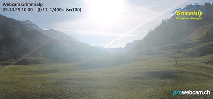 Grimmialp: Diemtigtal
