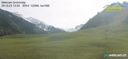 Grimmialp: Diemtigtal