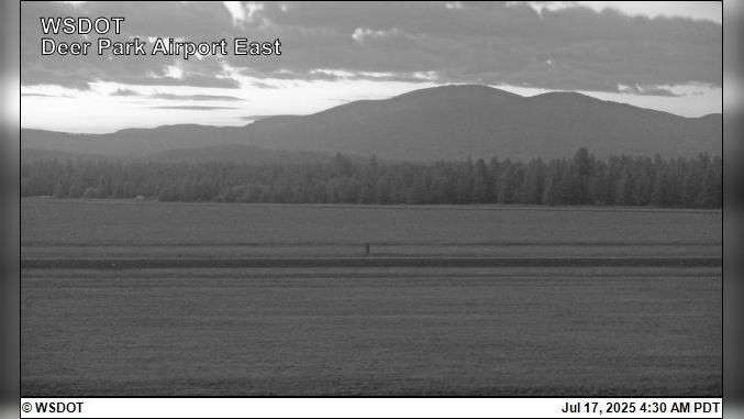 Mount Spokane: A Natural Masterpiece Webcam