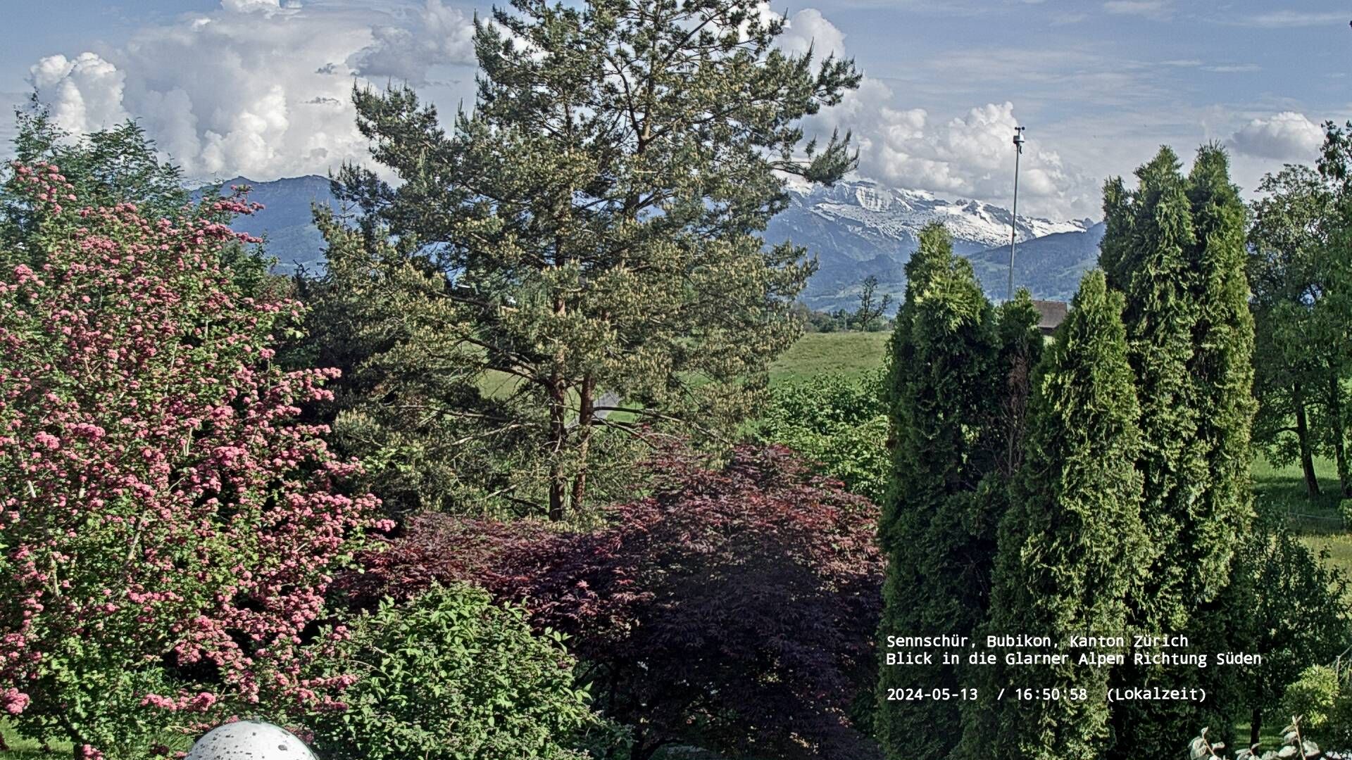 Bubikon › Süd: Glarus Alps