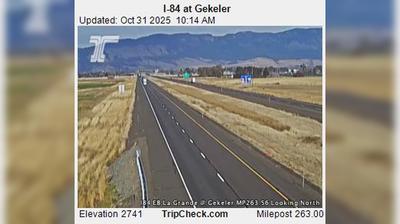 Gekeler Traffic and Landscape