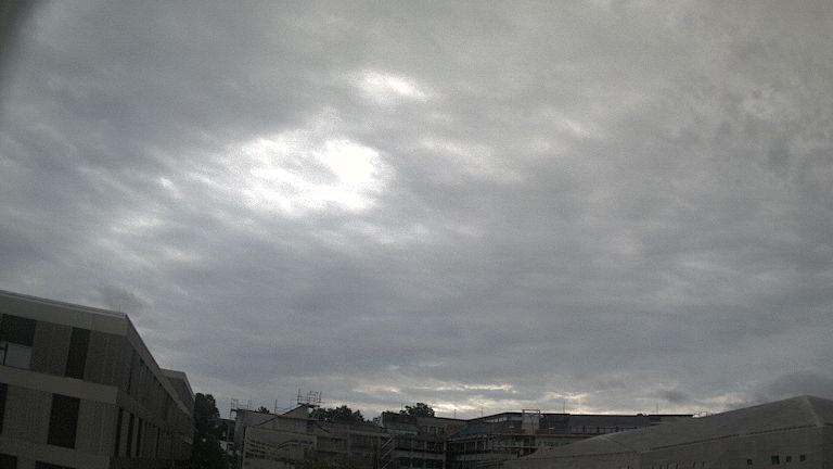 Gau Algesheim weather Webcam