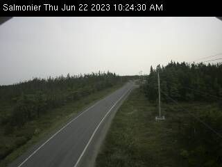 Traffic Cam Salmonier: Line