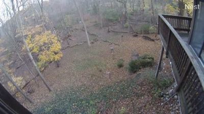 Recent Benton Harbor Webcam Image