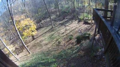 Benton Harbor Daytime Webcam Image