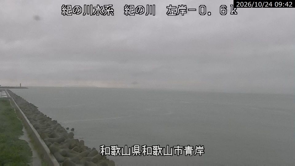 Wakayama webcam