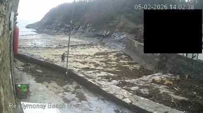 Recent Cornwall Webcam Image (St Austell)