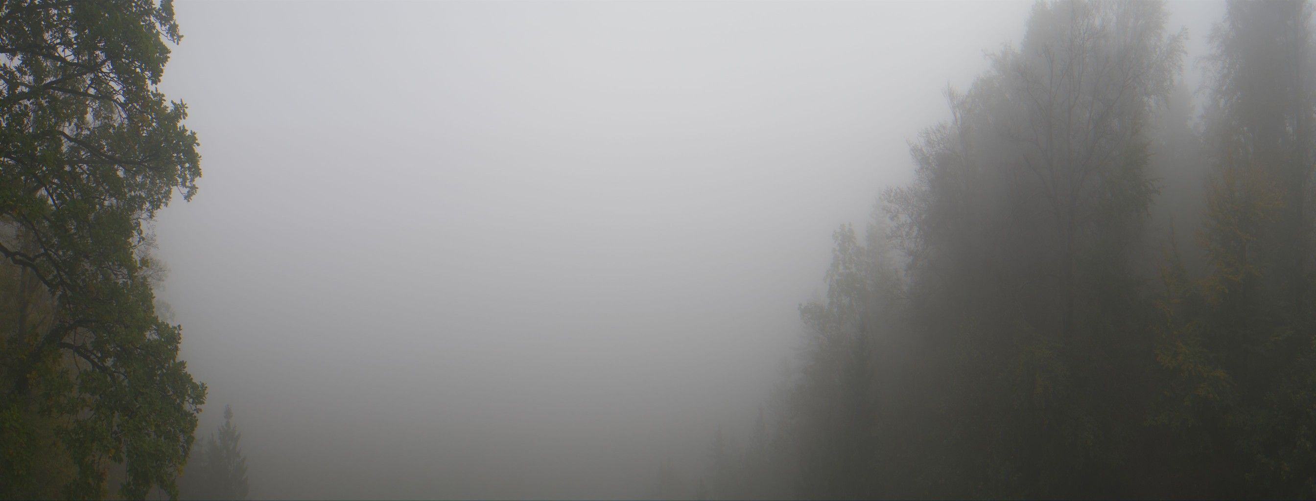 Stallikon: Adliswil - Zollikon - Küsnacht - Erlenbach - Zürich - Herrliberg - Horgen - Zürichsee