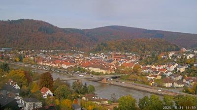 Waldbrunn Daglicht Webcam Image Waldbrunn Daglicht Webcam Image