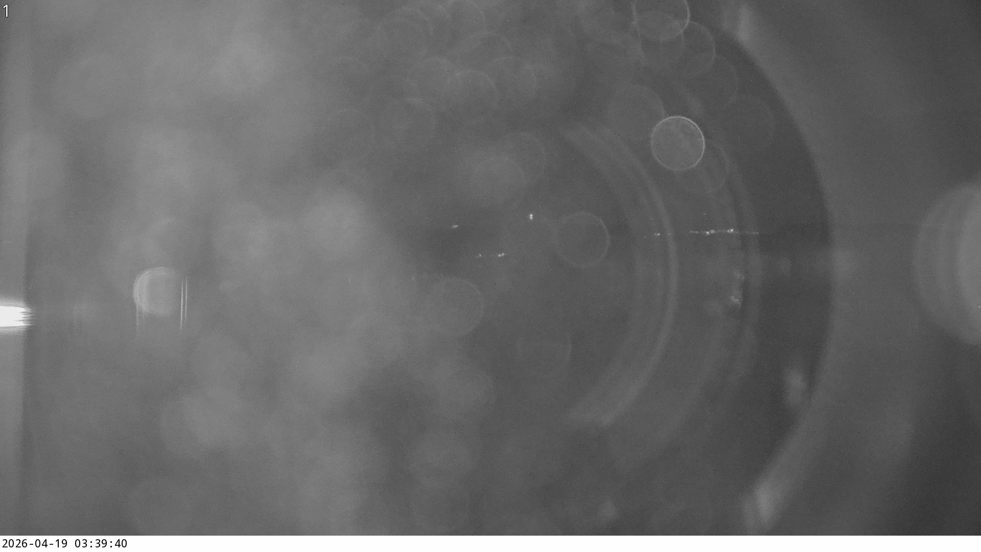 Küttigen › Nordosten: › North-East