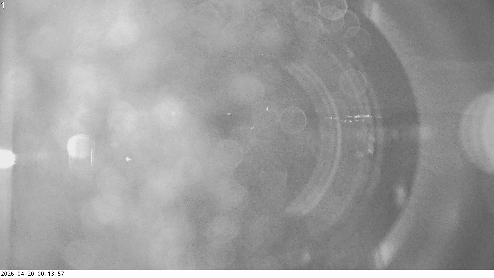 Küttigen › Nordosten: › North-East