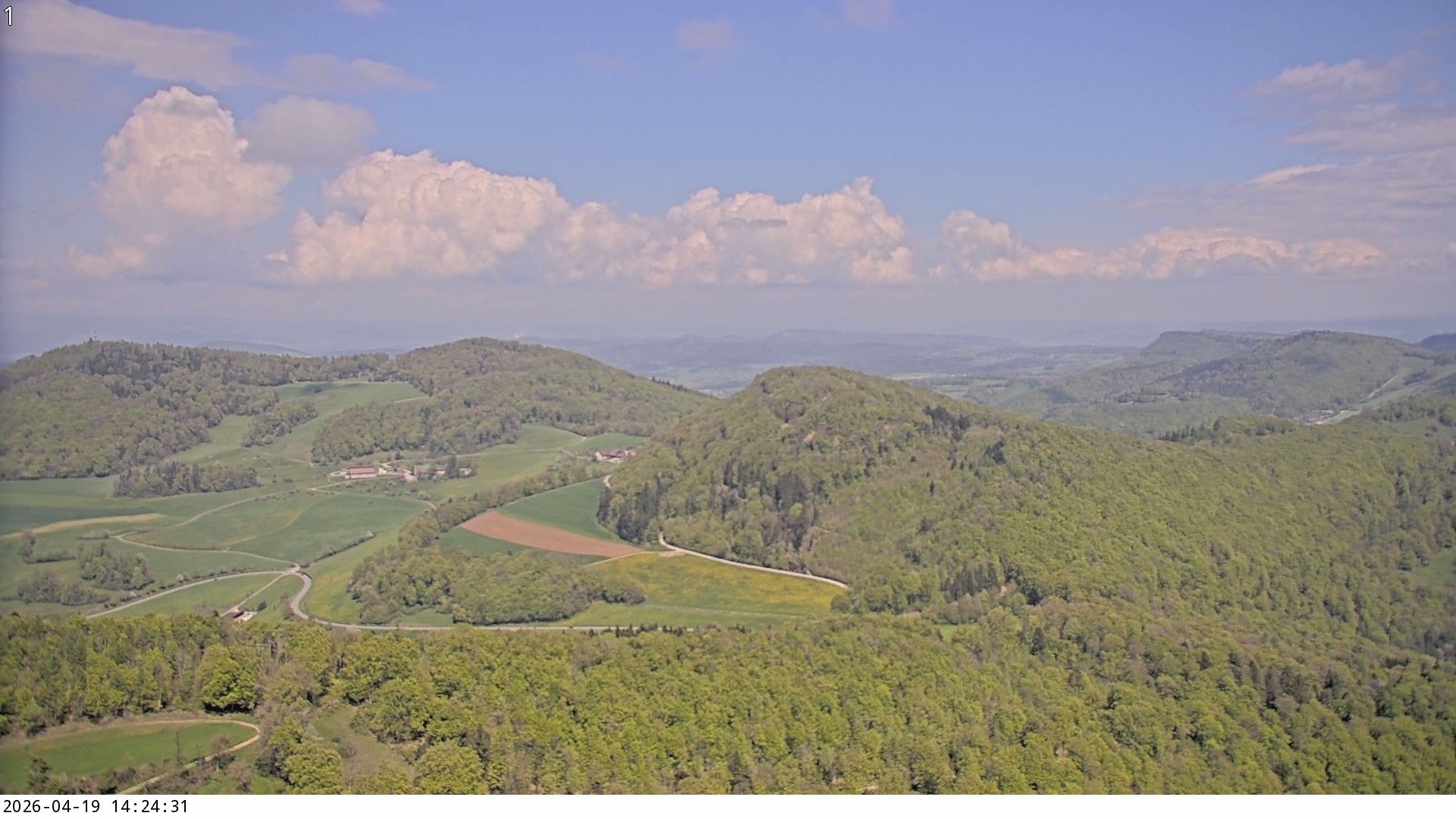 Küttigen › Nordosten: › North-East