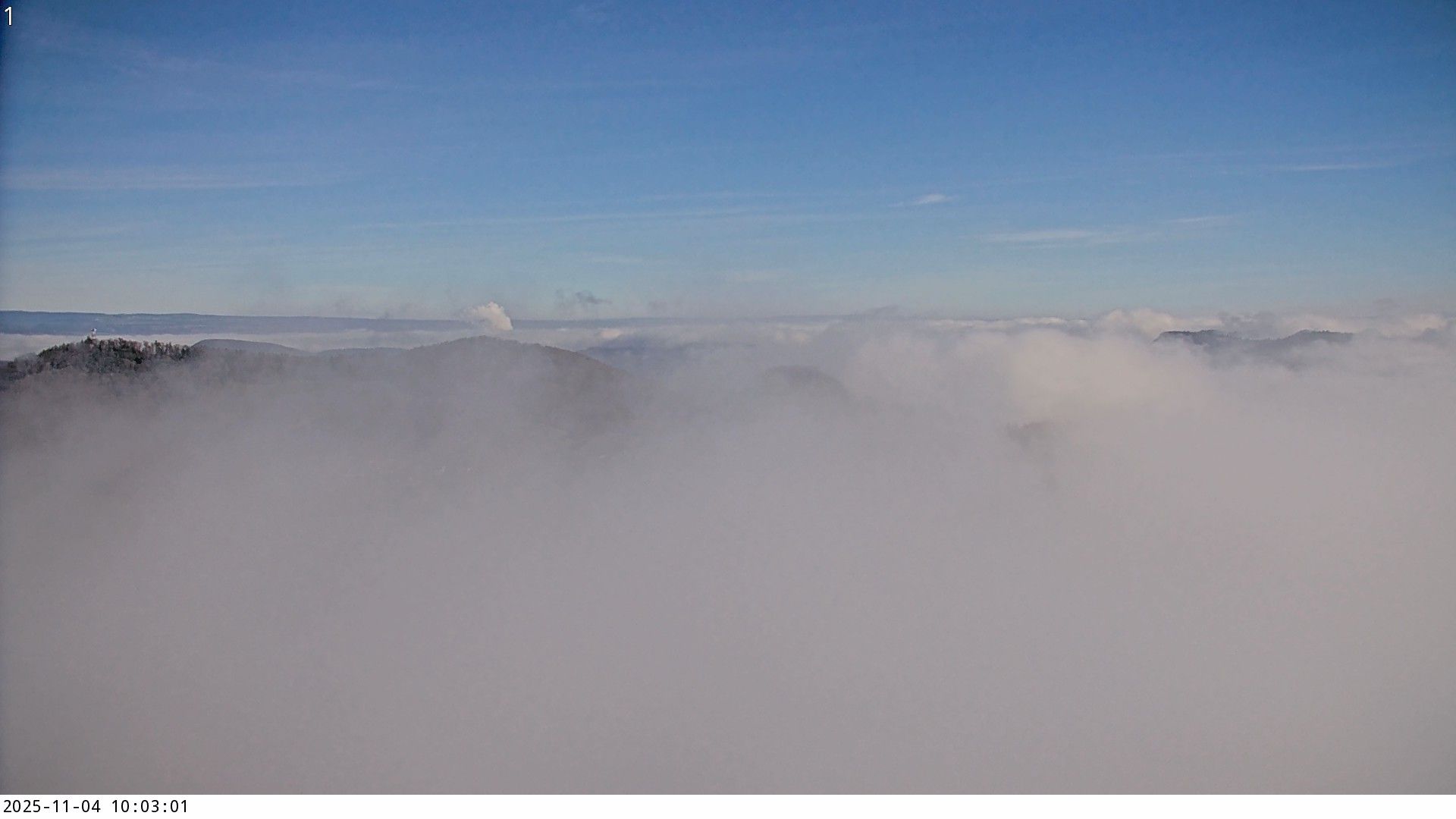 Küttigen › Nord-Ost: › North-East