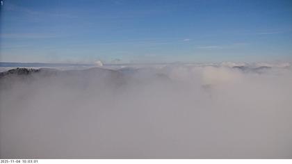 Küttigen › Nord-Ost: › North-East