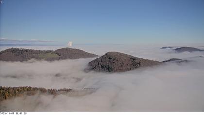 Küttigen › Nord-Ost: › North-East