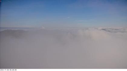 Küttigen › Nord-Ost: › North-East