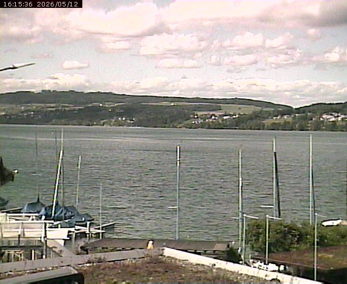 Beinwil am See: Hallwilersee Nord 1