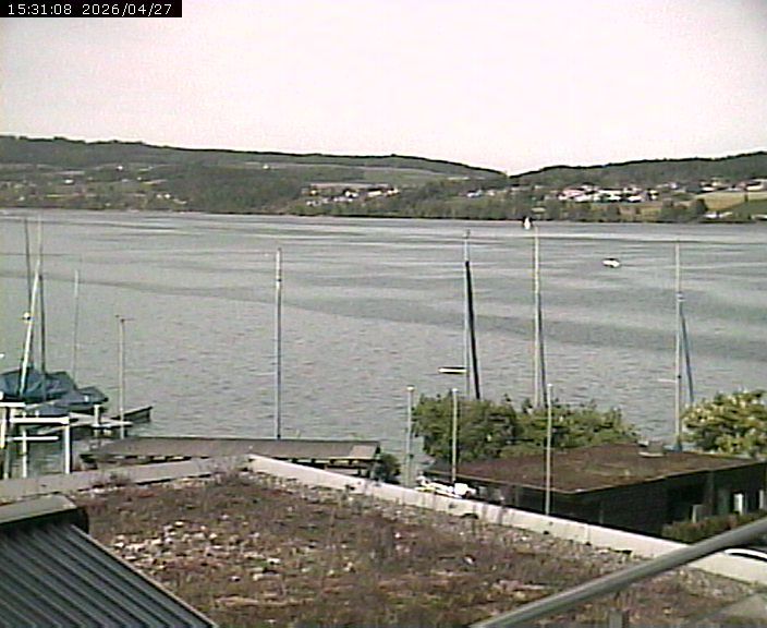 Beinwil am See: Hallwilersee Nord 1