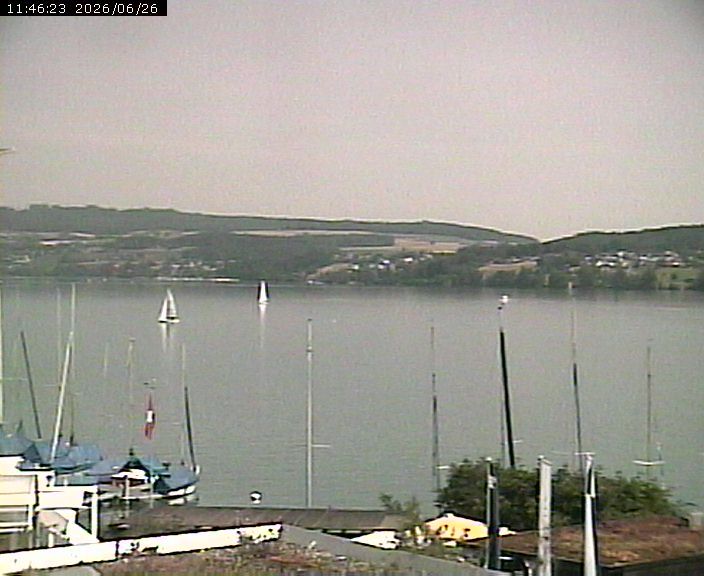 Beinwil am See: Hallwilersee Nord 1