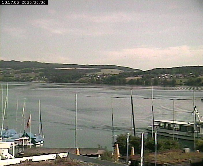 Beinwil am See: Hallwilersee Nord 1