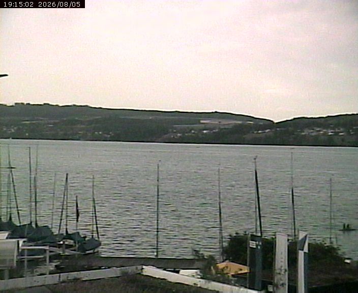 Beinwil am See: Hallwilersee Nord 1