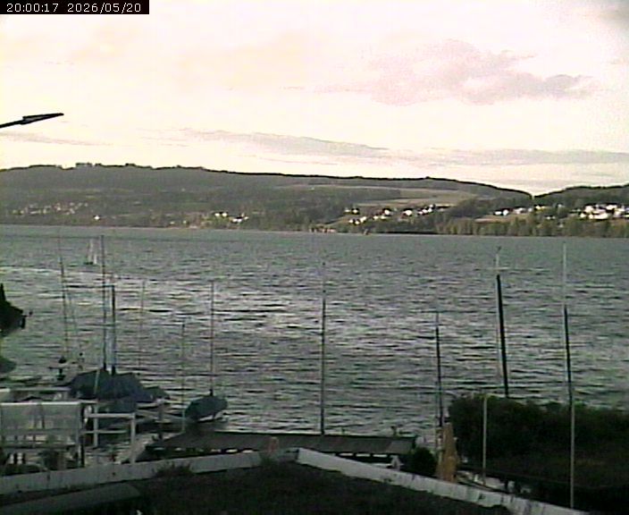 Beinwil am See: Hallwilersee Nord 1