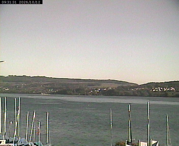 Beinwil am See: Hallwilersee Nord 1