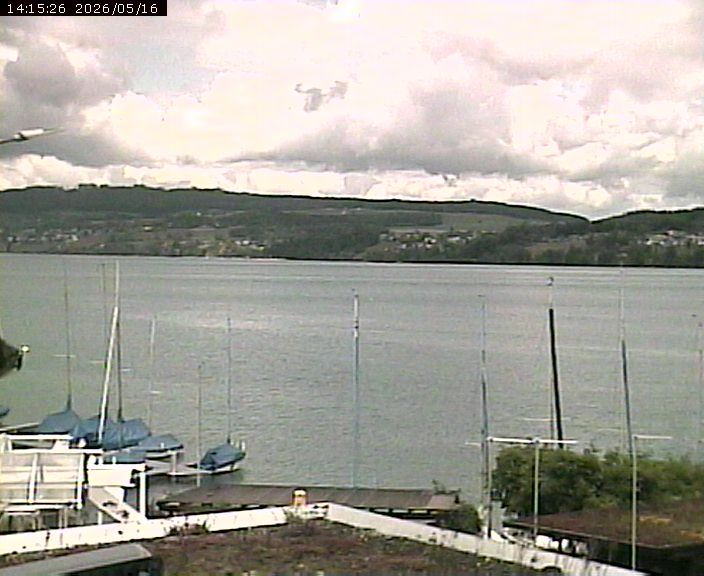 Beinwil am See: Hallwilersee Nord 1
