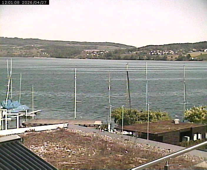 Beinwil am See: Hallwilersee Nord 1