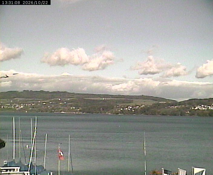 Beinwil am See: Hallwilersee Nord 1