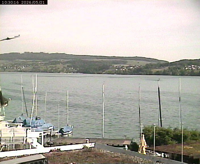 Beinwil am See: Hallwilersee Nord 1