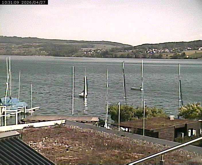 Beinwil am See: Hallwilersee Nord 1