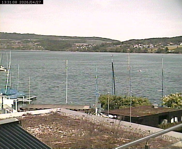 Beinwil am See: Hallwilersee Nord 1