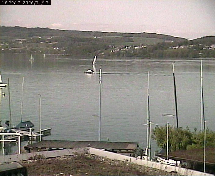 Beinwil am See: Hallwilersee Nord 1