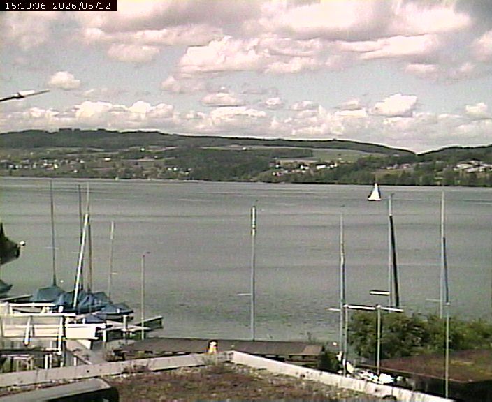 Beinwil am See: Hallwilersee Nord 1