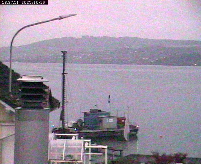 Beinwil am See: Hallwilersee Nord 1
