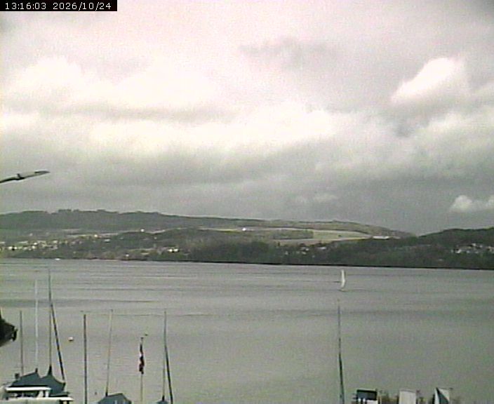 Beinwil am See: Hallwilersee Nord 1