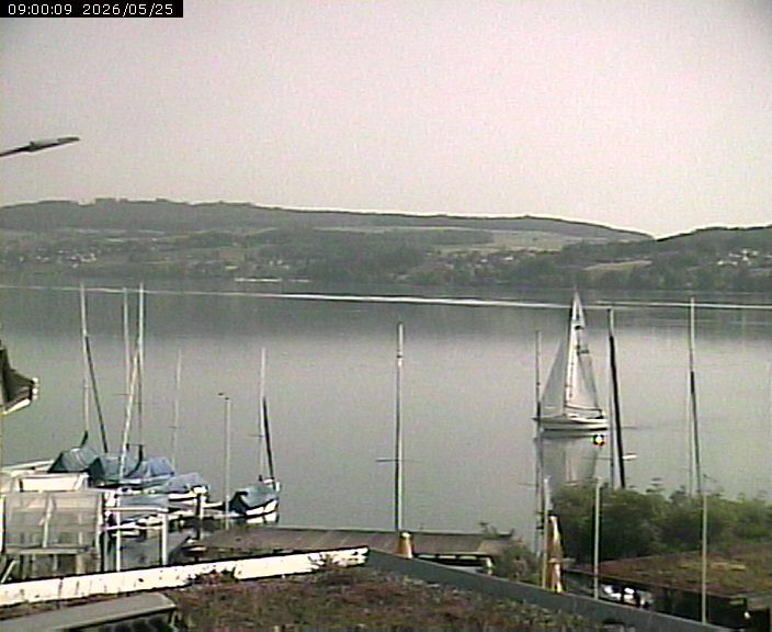 Beinwil am See: Hallwilersee Nord 1