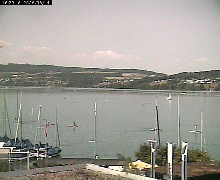 Beinwil am See: Hallwilersee Nord 1