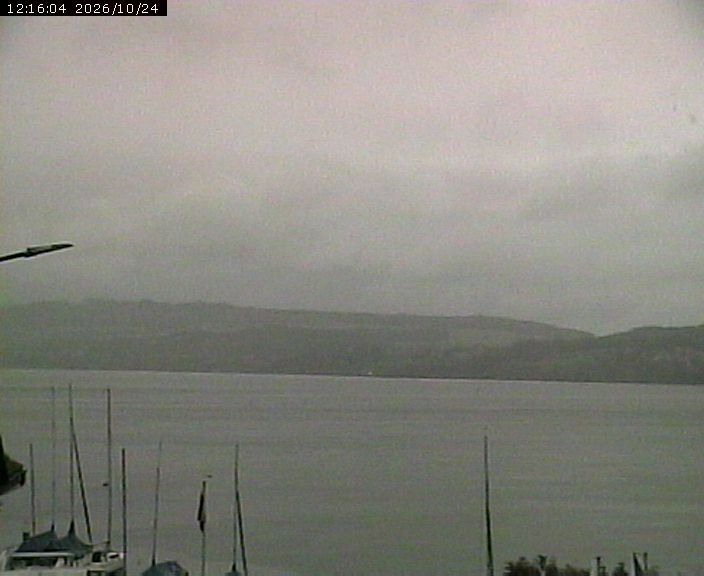 Beinwil am See: Hallwilersee Nord 1