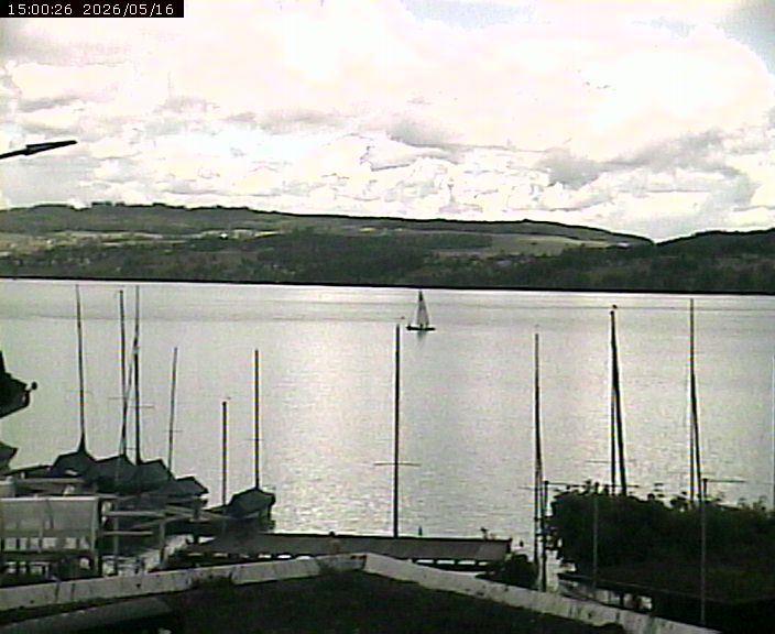 Beinwil am See: Hallwilersee Nord 1