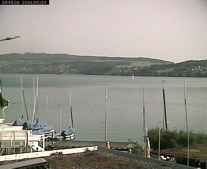 Beinwil am See: Hallwilersee Nord 1
