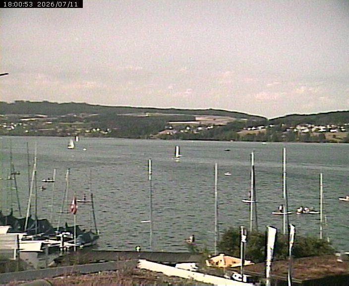 Beinwil am See: Hallwilersee Nord 1